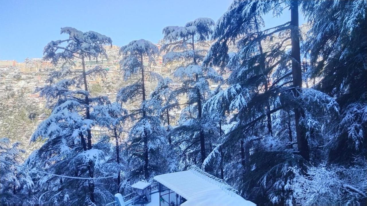 Mountain Zest-Simla Royale Near Mall Road-Free Pickup From Railway Station Simla Экстерьер фото